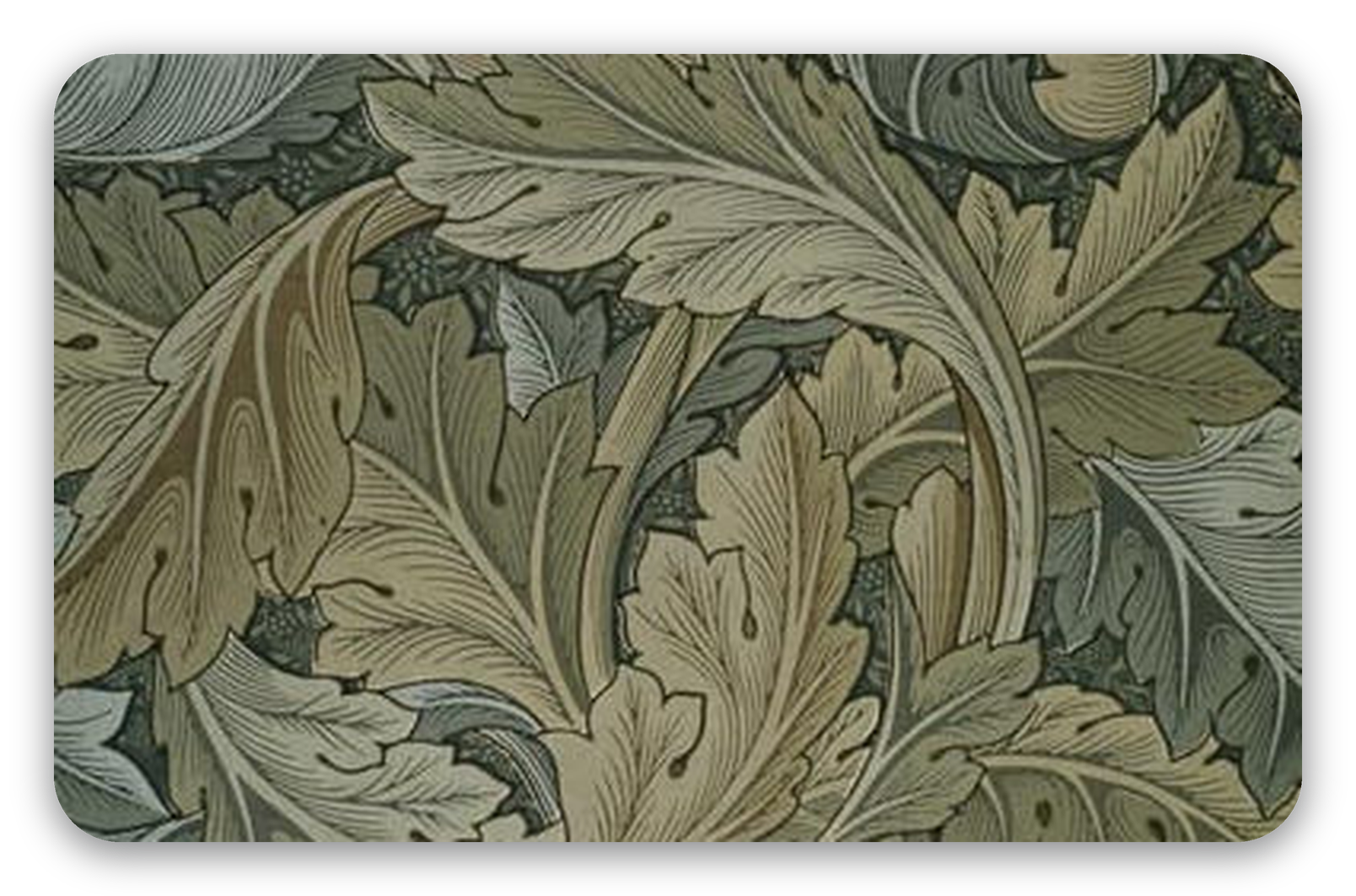 Acanthus - samolepka na kartu