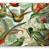 Kolibříci (Haeckel) - samolepka na kartu