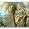 Haeckel Filicinae 92 - samolepka na kartu
