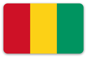 Guinea - samolepka na kartu